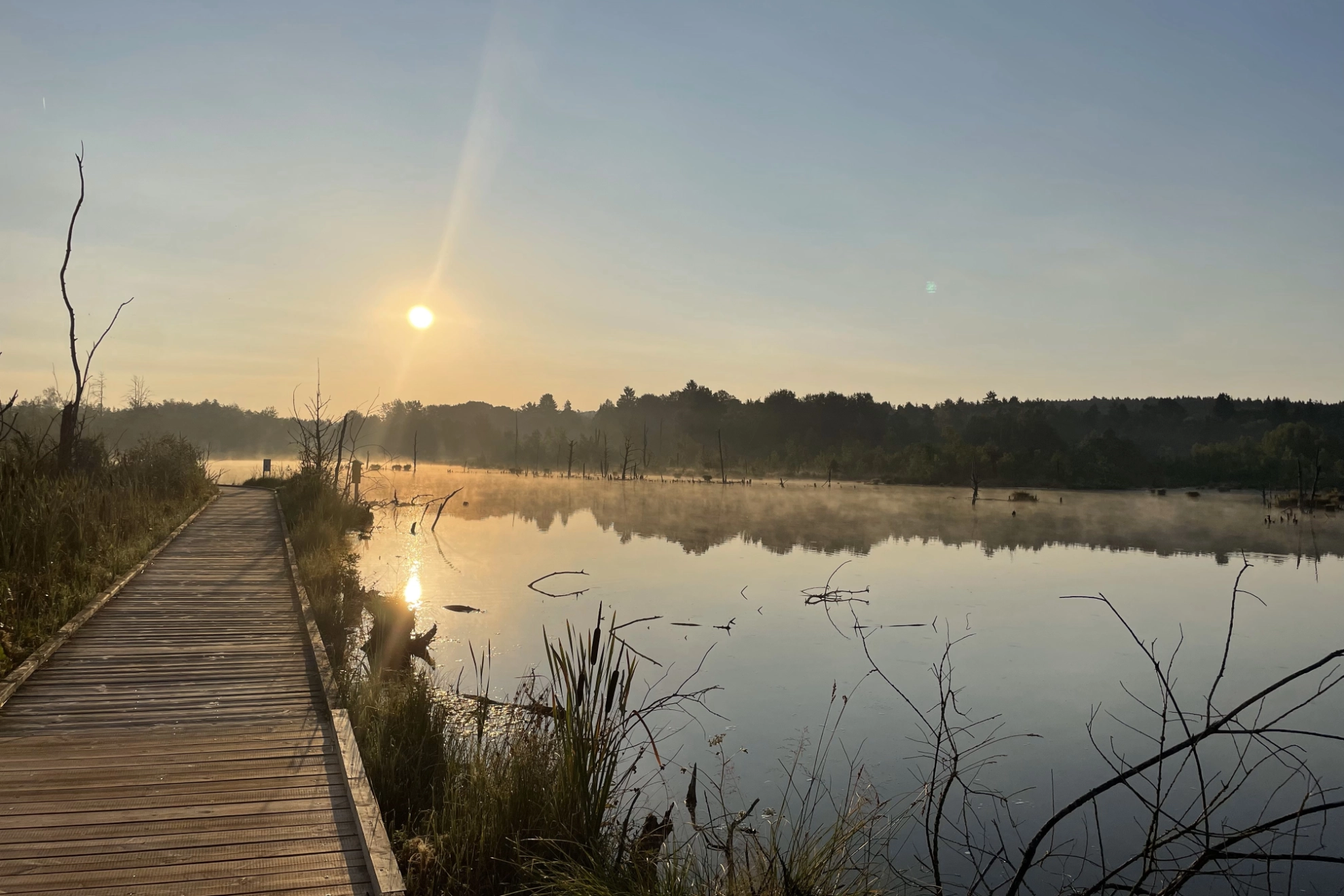 Schwenninger Moos mit Holzsteg im Sonnenaufgang.
