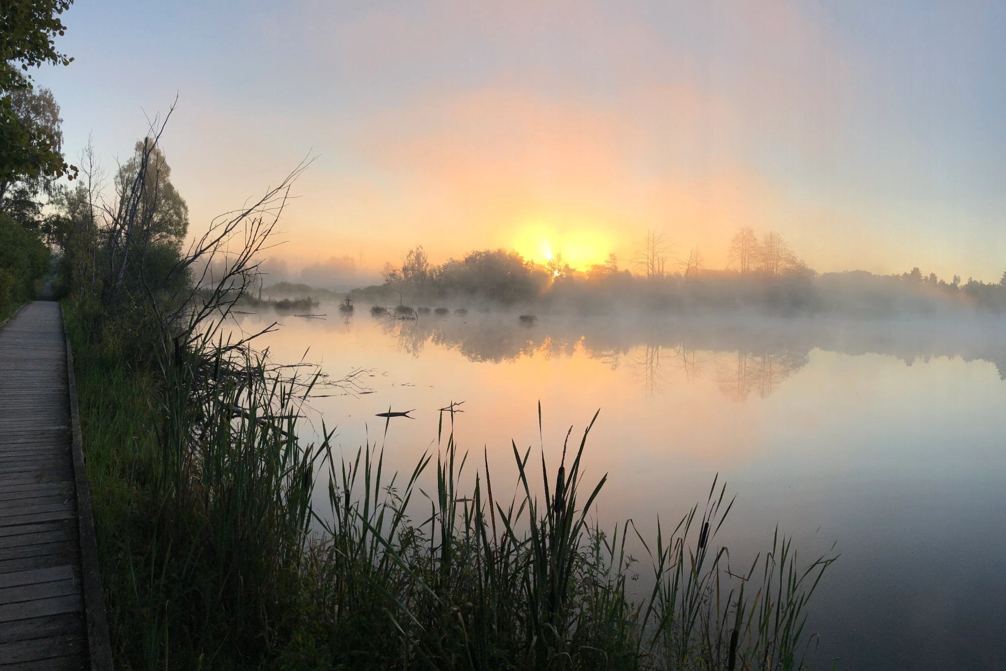 Das Foto zeigt das Schwenninger Moos beim Sonnenaufgang.